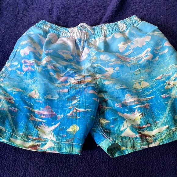 Mens bathing suits - Picture 3 of 5